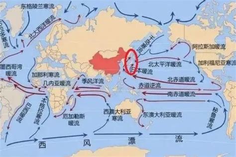 北太平洋暖流|日本暖流